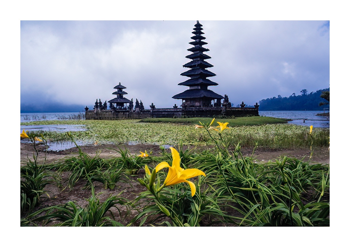 _DSF0907 kopiera-DeNoiseAI-low-light_border
