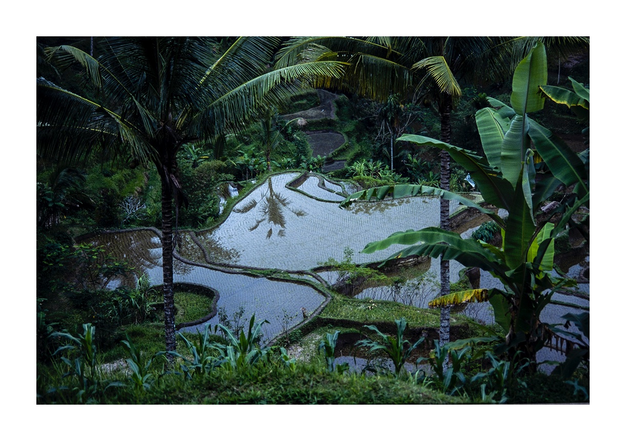 _DSF0918 kopiera_border
