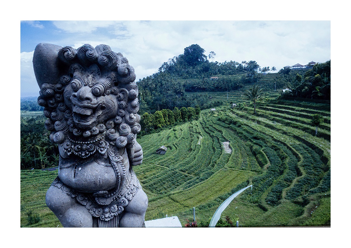 _DSF0924 kopiera-SharpenAI-focus_border
