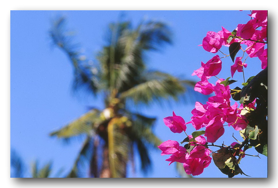 scannade_00107[1]